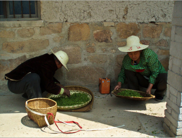 Xin Yang Mao Jian