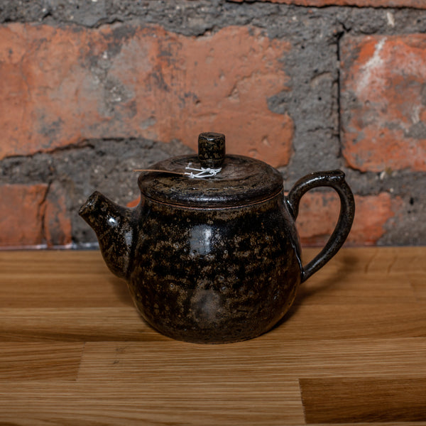 Gong Fu Teapot #1